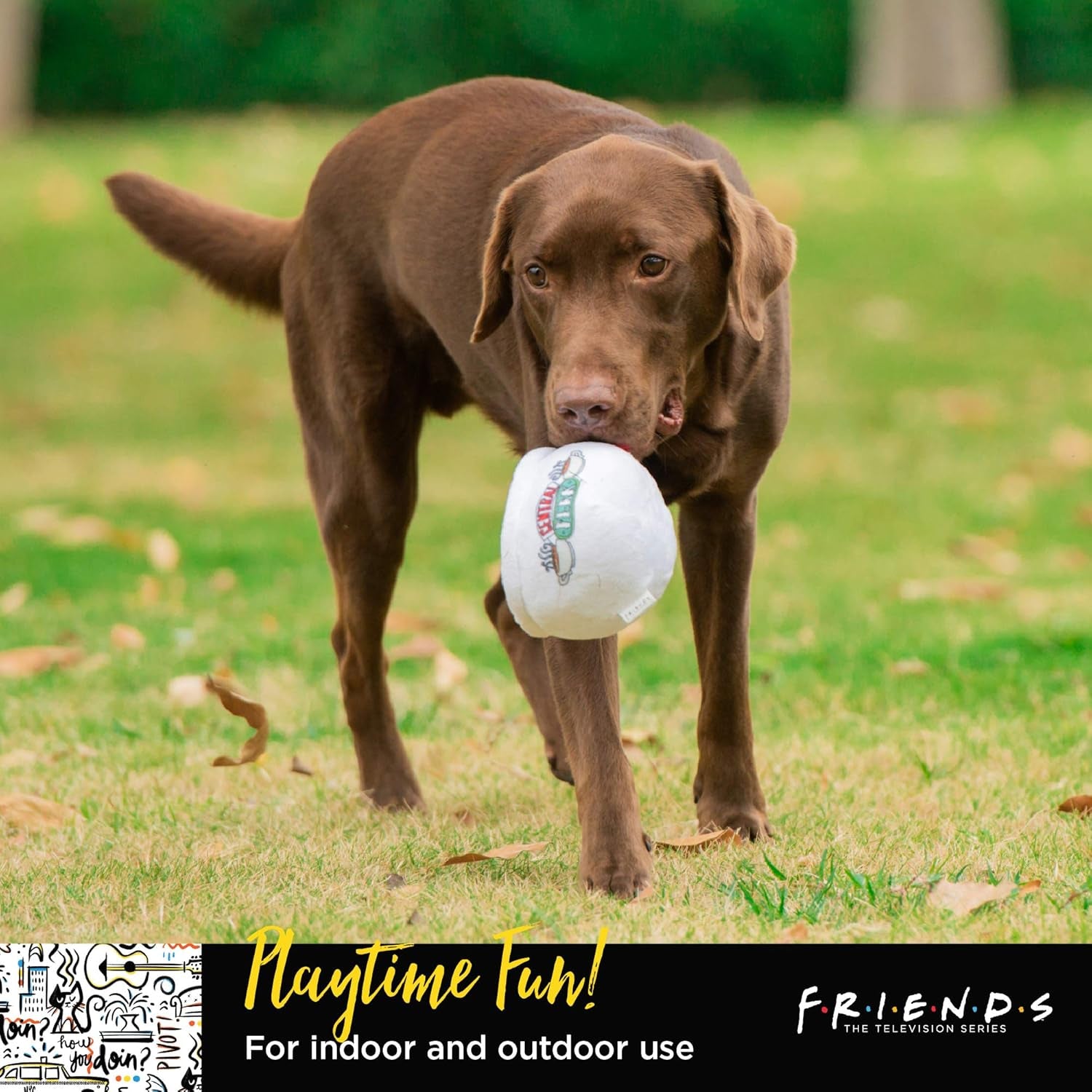 Friends the TV Show Central Perk Coffee Mug Plush Dog Toy with Rope Handle| Soft Cute Squeaky Toy for All Dogs | Stuffed Dog Toys with Squeaker Noise for Added Fun, Friends Memorabilia