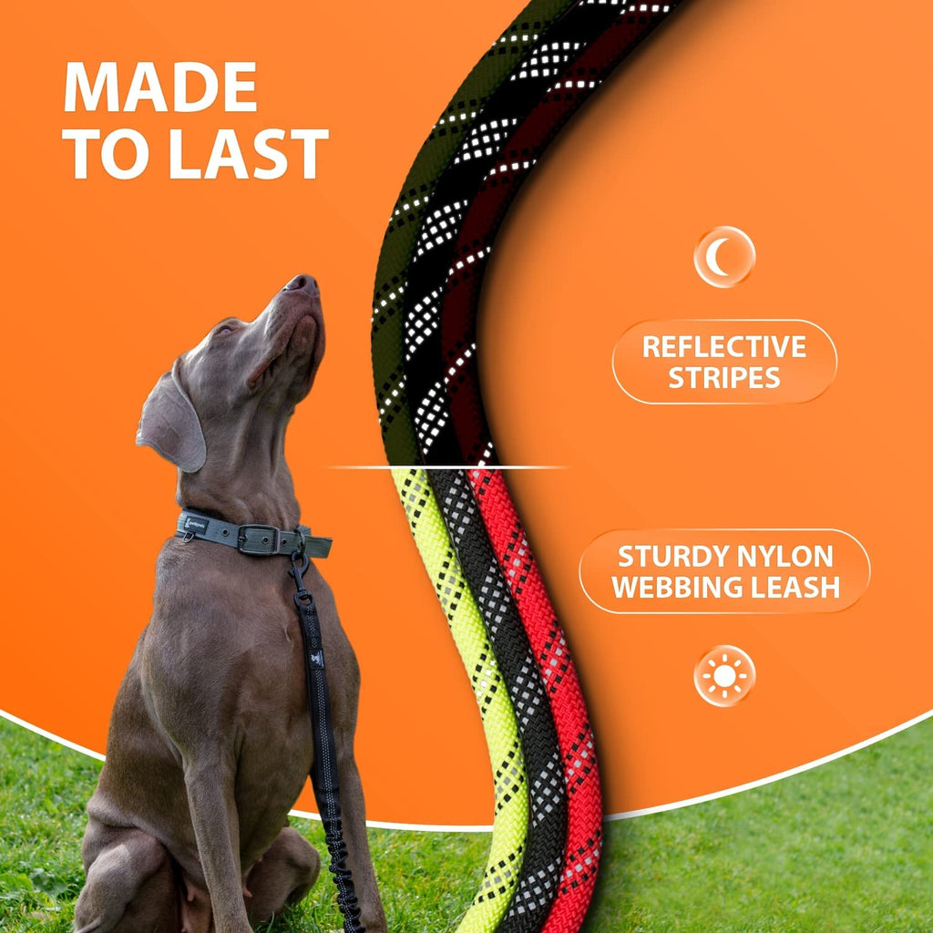- Heavy Duty Bungee Rope Leash for Large and Medium Dogs - No Pull, Shock Absorber Long Dog Training Lead - No Slip Reflective Line for outside (5.5 Ft Bungee Leash)